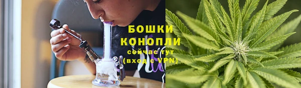 бутират Баксан